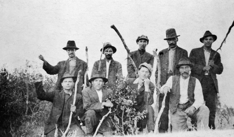 Image result for coal strike 1919