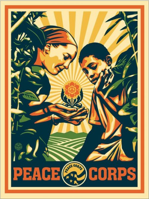 The American Peace Corps: volunteers for free enterprise ...
