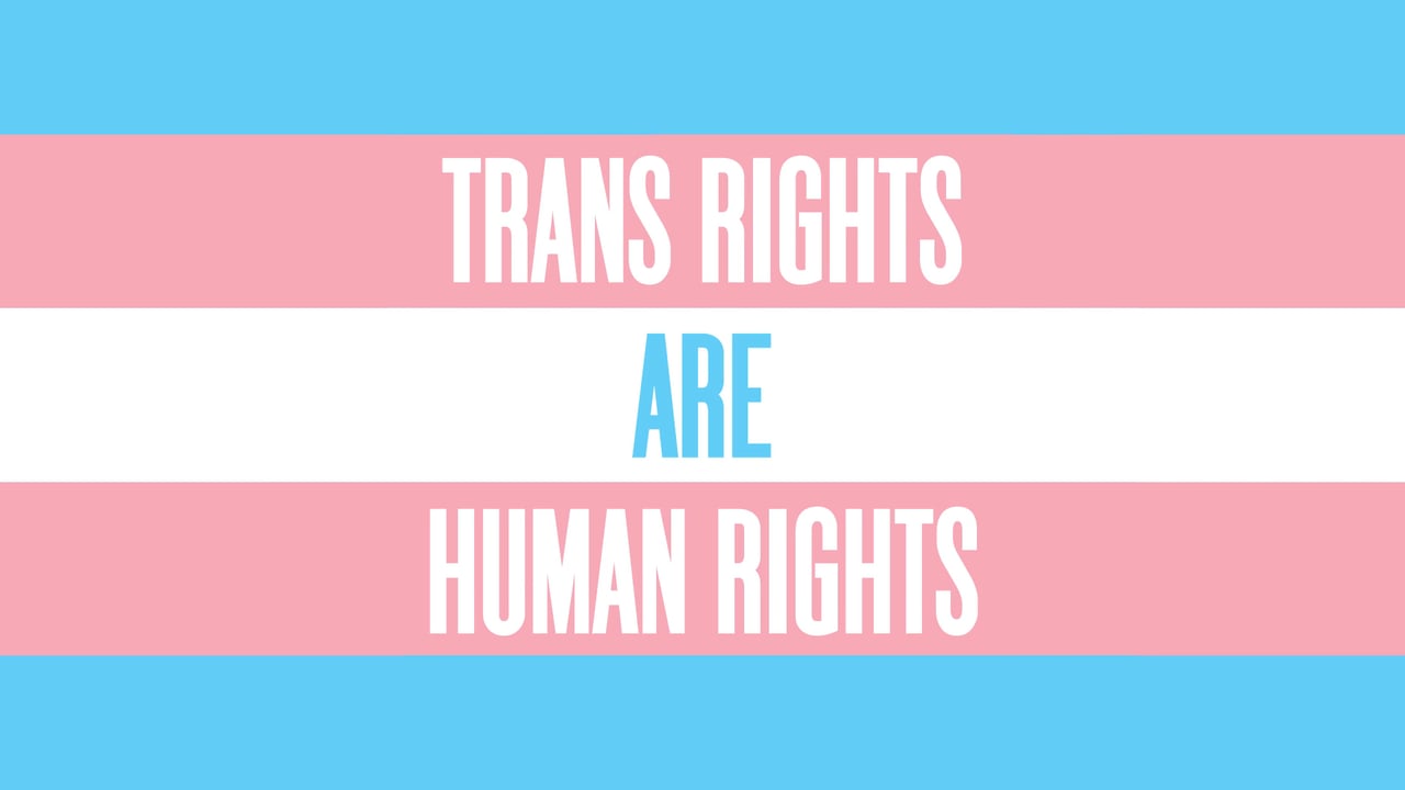 Image result for trans rights